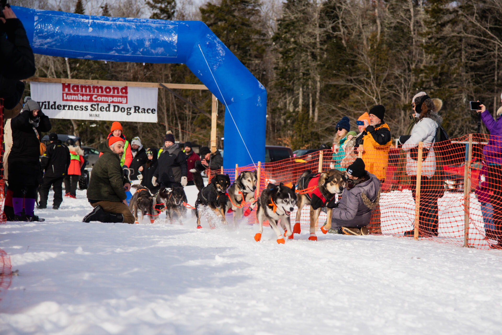 Wilderness Dog Sled Race 2026